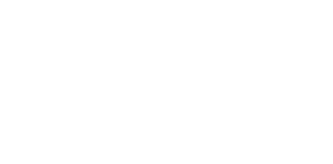 Magic Bullet